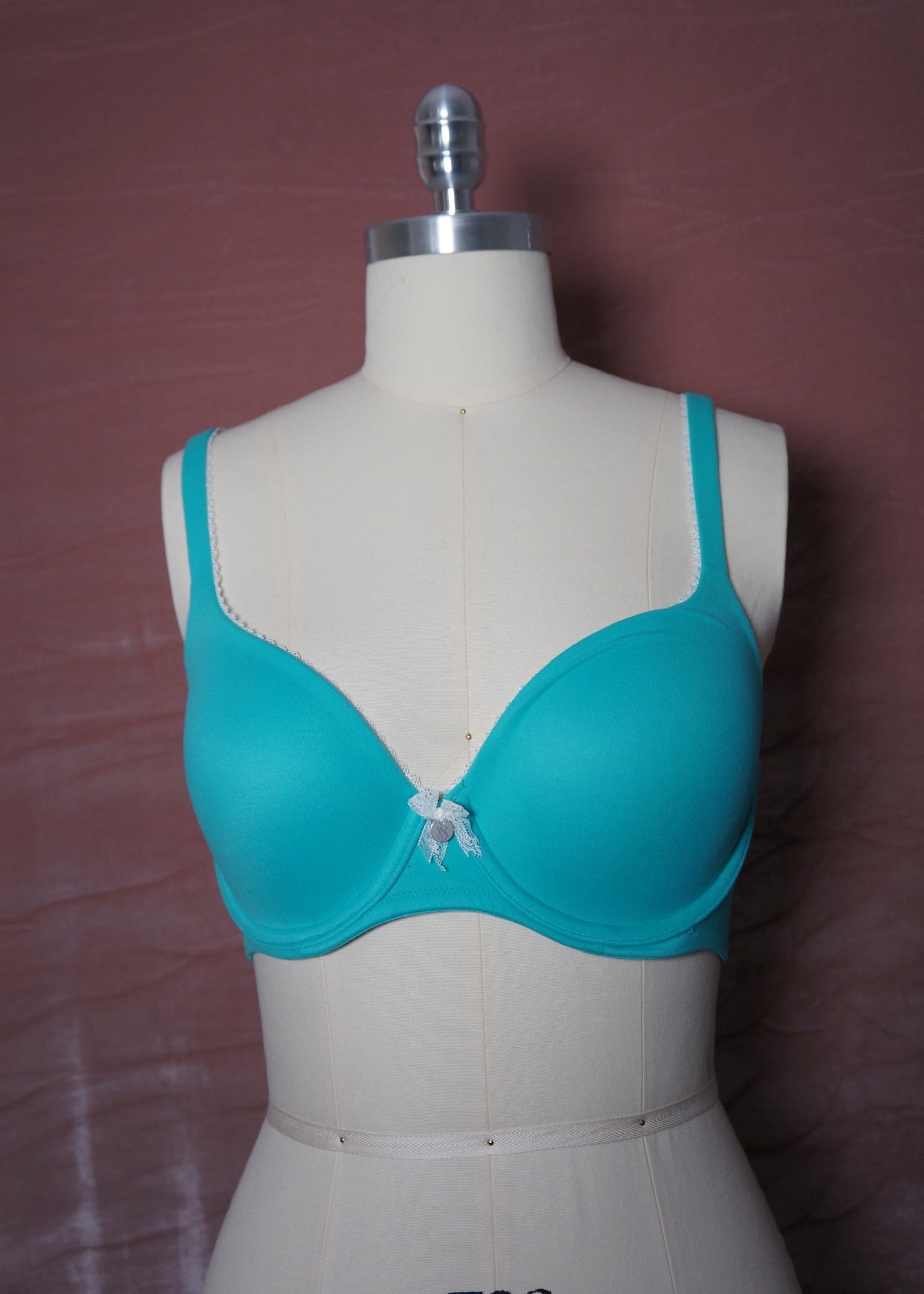 Victoria's Secret 2013 bra